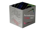 Accademia Cube Art